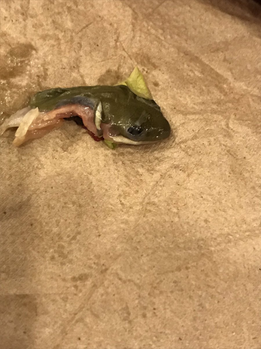 deelabovitz's tweet image. I was about to eat my sandwich from McDonalds &amp;amp; I saw something hanging out of the side. My dad pulled it out of the sandwich &amp;amp; said it looked like a pickle... it was not a pickle. I did not eat the sandwich, thank god, but please be aware of what you’re eating 🤢🤢
