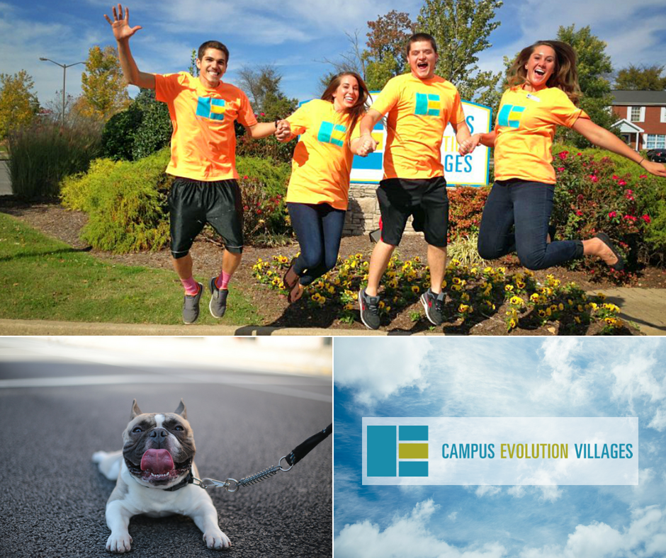 CEV_MurraySouth's tweet photo. Discover CEV Murray South, the best in off-campus, pet-friendly living. Our community is just minutes away from Murray State University, and our jam-packed events program means there's always something to do. Head to our website to learn more: https://t.co/bFmbI87SYv https://t.co/cRQ7zA4l6i
