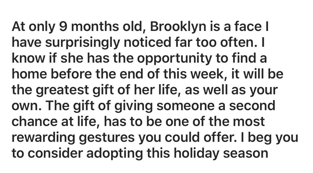 ToledoHumaneSociety tweet media