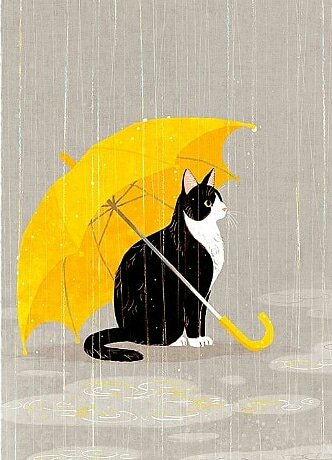 Afbeeldingsresultaat voor animales compasivos