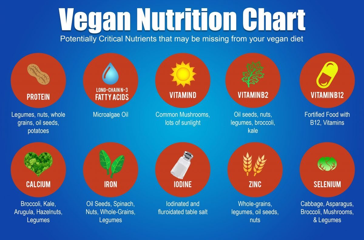 Vegan Nutrition Chart