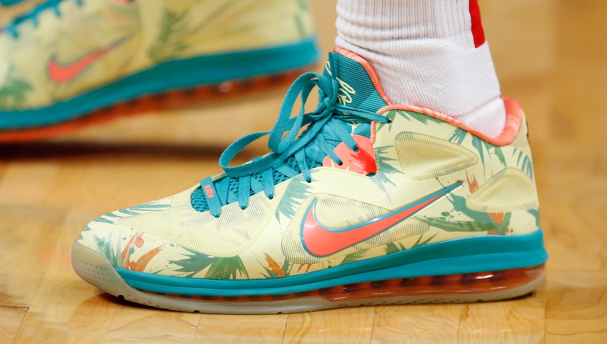 lebronold palmer 9