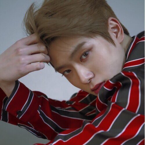 BlitheAltruism's tweet image. ╲⠀╲⠀╲             ╲
⠀ ╲⠀╲⠀❀ ⠀          ╲ ⠀⠀⠀⠀⠀
⠀⠀⠀❀⠀ ╲⠀⠀⠀⠀⠀⠀⠀   ✿
⠀⠀⠀ ⠀⠀⠀⠀✿         ᥉tᥲrtᥱr ᥴᥲᥣᥣ!

       ↻ 𝗍𝗈 𝗉𝗅𝗈𝗍 𝖺𝗇𝖽 ♡ 𝖿𝗈𝗋 𝖺 𝗀𝗂𝖿 𝗌𝗍𝖺𝗋𝗍𝖾𝗋!