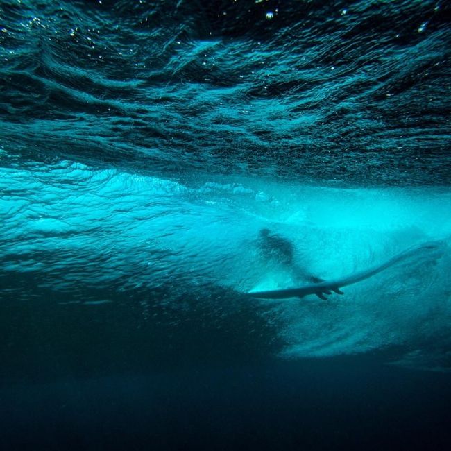 HippyTree's tweet image. Fish eye view off the coast of Sumatra. Photo by fellow lensman Ricky Lesser. Mentawai Archipelago, Indonesia. #SurfandStone #HippyTreeTribe #52weeksofnature