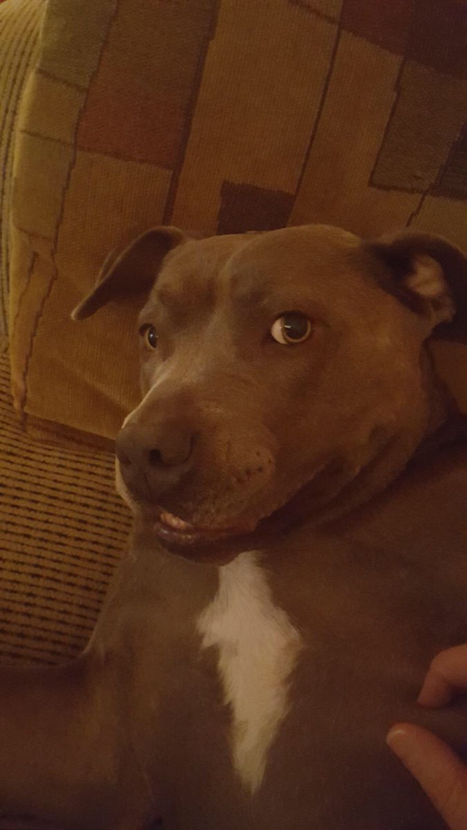 shaymatt17's tweet photo. “show me your good girl smile” https://t.co/U65f1ACc7j