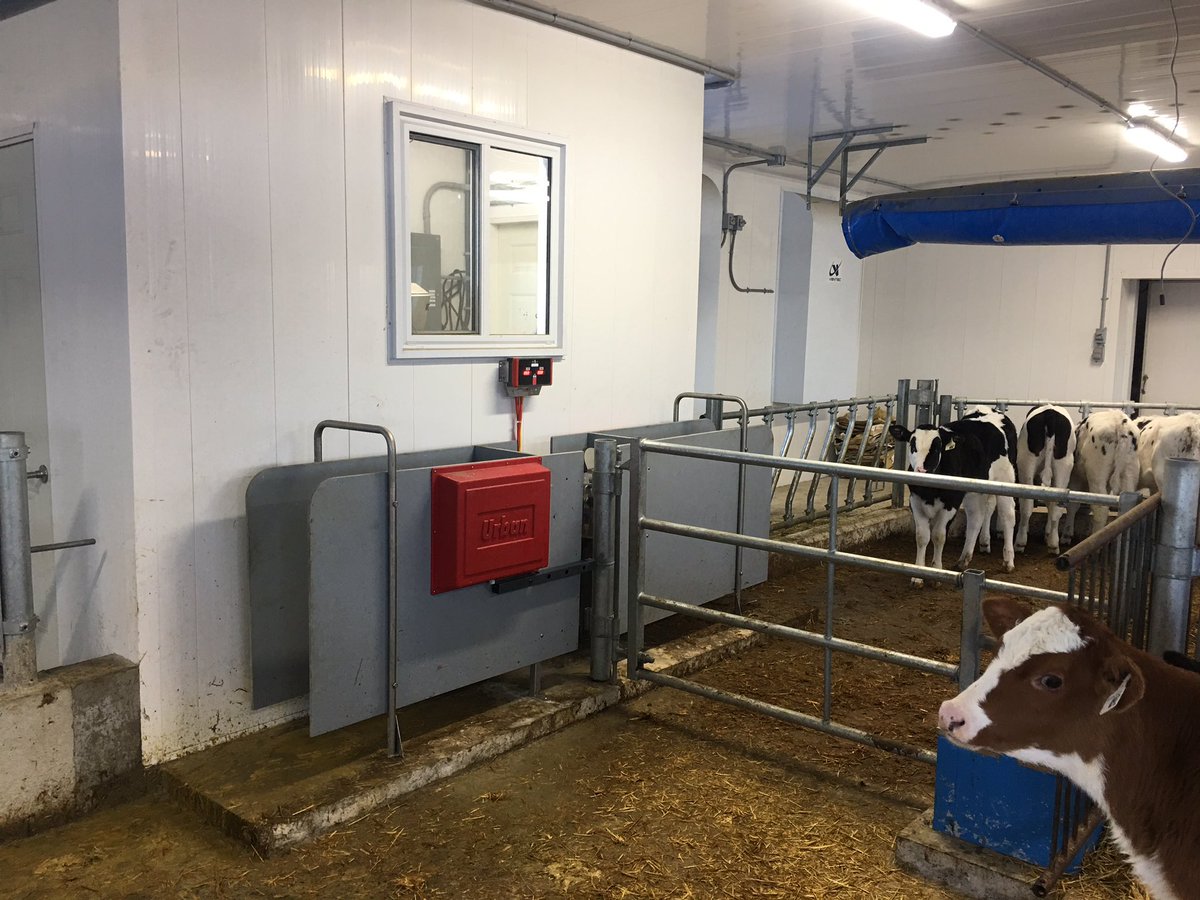 Dundas Agri Systems A Twitter Nicely Set Up Calf Facility