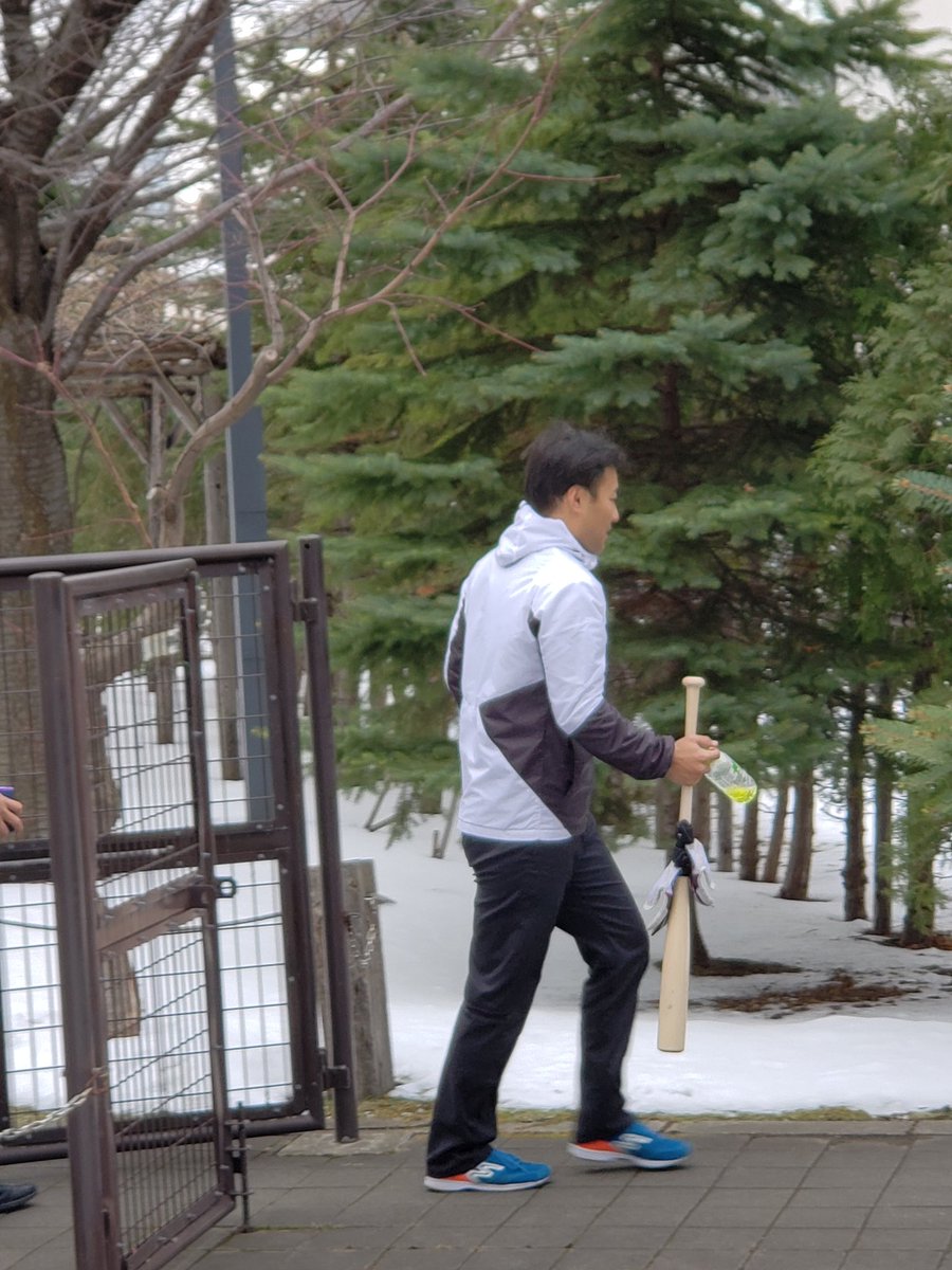 小雪 リクパパ クリスマスプレゼント 選びにアリオへ ついでに久しぶりにファイターズの寮に来てみました 賢介と卓が来ていましたよ 北海道日本ハムファイターズ ファイターズ室内練習場 ファイターズ寮 田中賢介 中島卓也 小雪 リクパパ クリスマスプレゼント 選びにアリオへ ついでに久しぶりにファイターズの寮に来てみました 賢介と卓が来ていましたよ 北海道日本ハムファイターズ ファイターズ室内練習場 ファイターズ寮 田中賢介 中島卓也