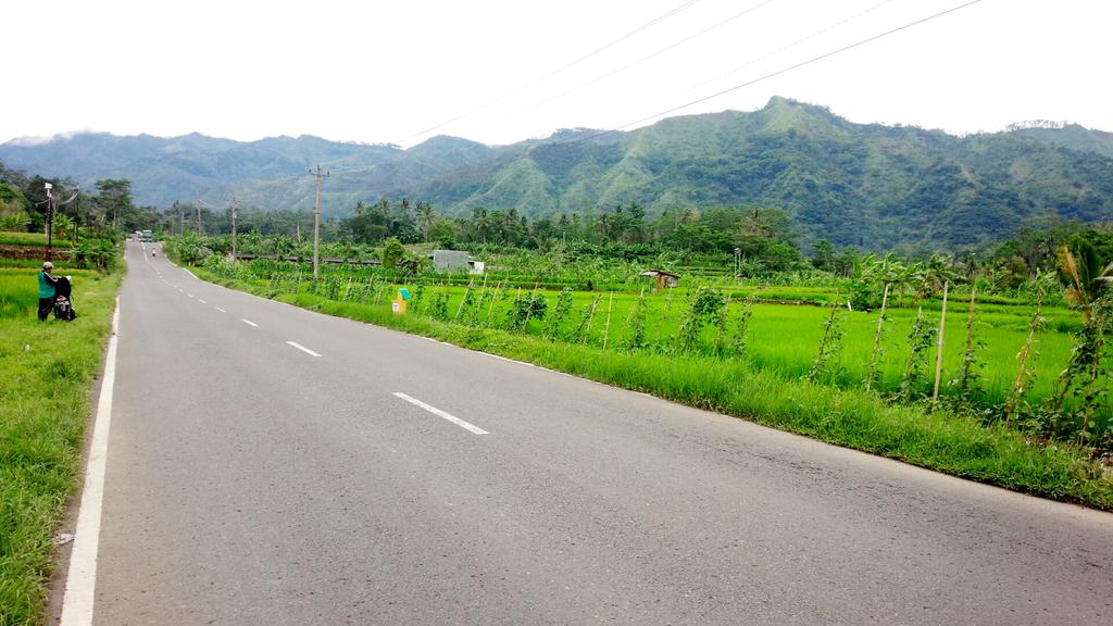 Daripda melongo, liatin HP terus, mending liat yg ijo-ijo...😁  <a href="/DesaBulakan/">Desa Bulakan</a> segerrrr..😊

#JumatBerkah 
#JatengGayeng