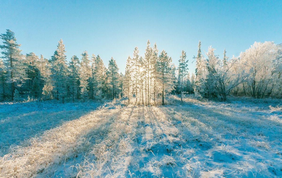 Sharing thoughts of gratitude, peace, and courage with you for the holiday season. Read more on my blog ow.ly/O8ye30n4eiz