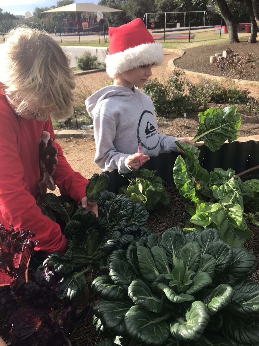 kelliepeden tweet media