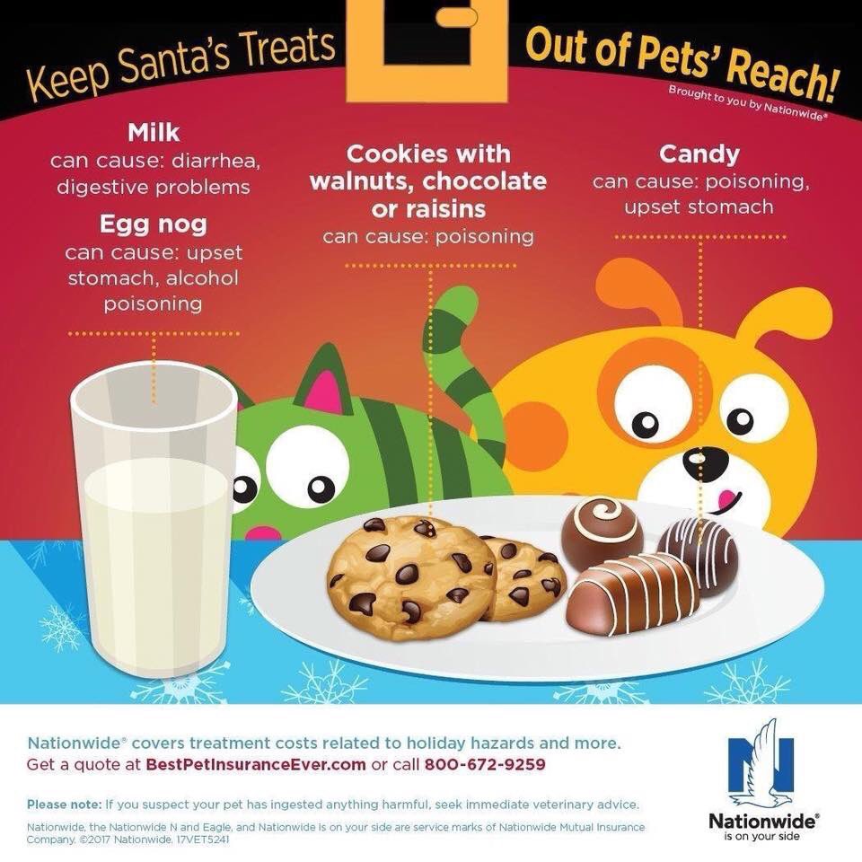 Holiday Pet Safety Tips:  

Please be careful leaving out snacks for Santa 🎅🏻that may be toxic to your pets. 🐶🐱 Best to leave a glass of water and a few plain cookies. 

#pets #Chicago #Veterinary #Christmas #petsafety #petsarefamily #dogs #cats