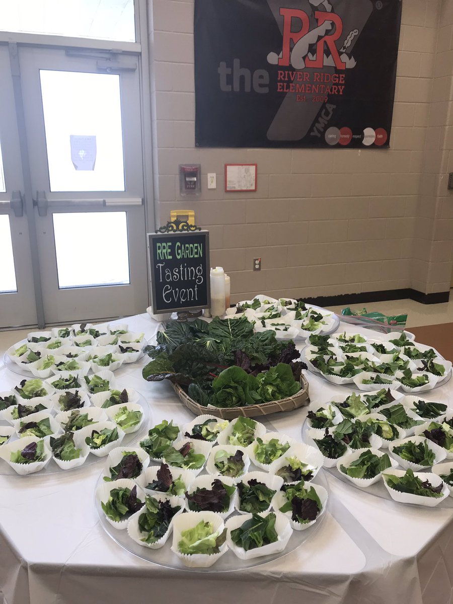 kelliepeden tweet media