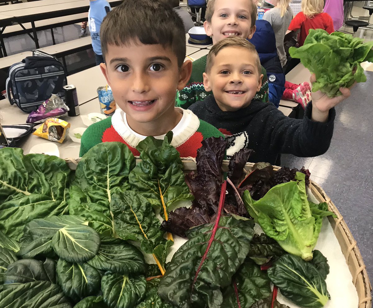 kelliepeden tweet media