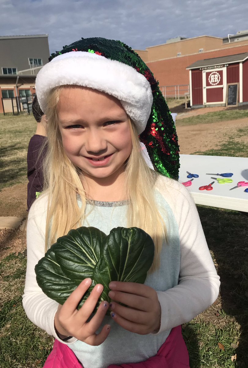 kelliepeden tweet media