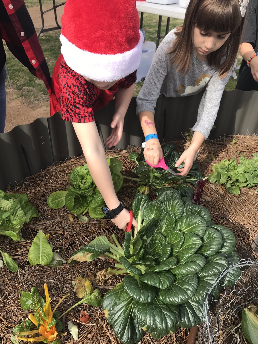 kelliepeden tweet media