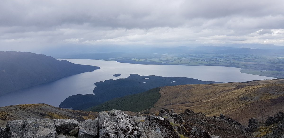 Mitchell King tweet media