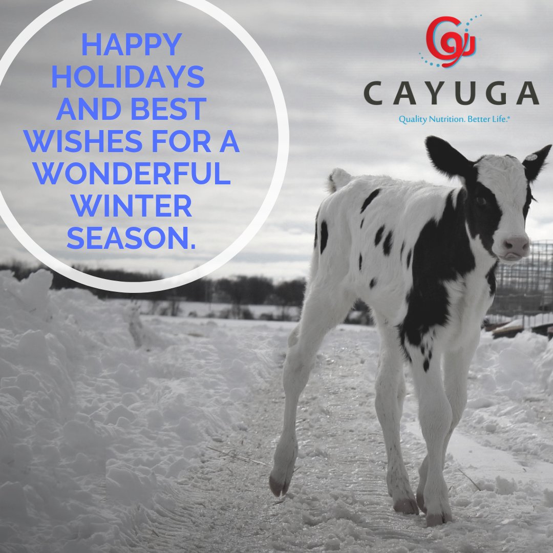 Cayuga Milk Ingredients (CayugaMilk) Twitter