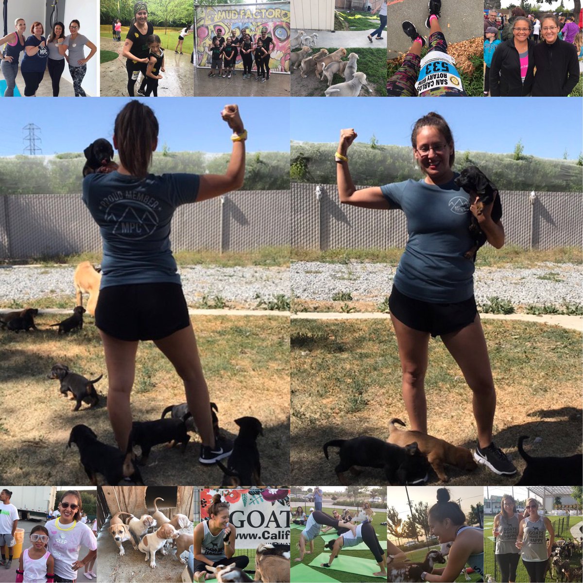#MPC2018 highlightS
-My first peaker meeting 
-Mud Run 
-12k Run
-Bubble Run
-1st time goat yoga 
-39 foster puppies
@MyPeakChallenge @SamHeughan 
Ready to continue peaking #MPC2019