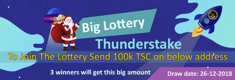 ThunderStake Coin tweet media