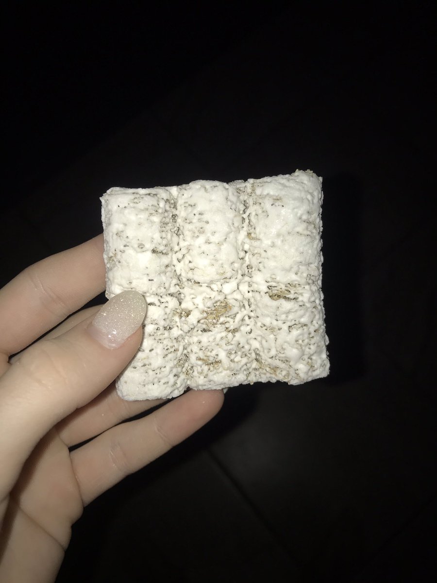 6 frosted mini wheats in one 💀rt or 10 yrs of bad luck