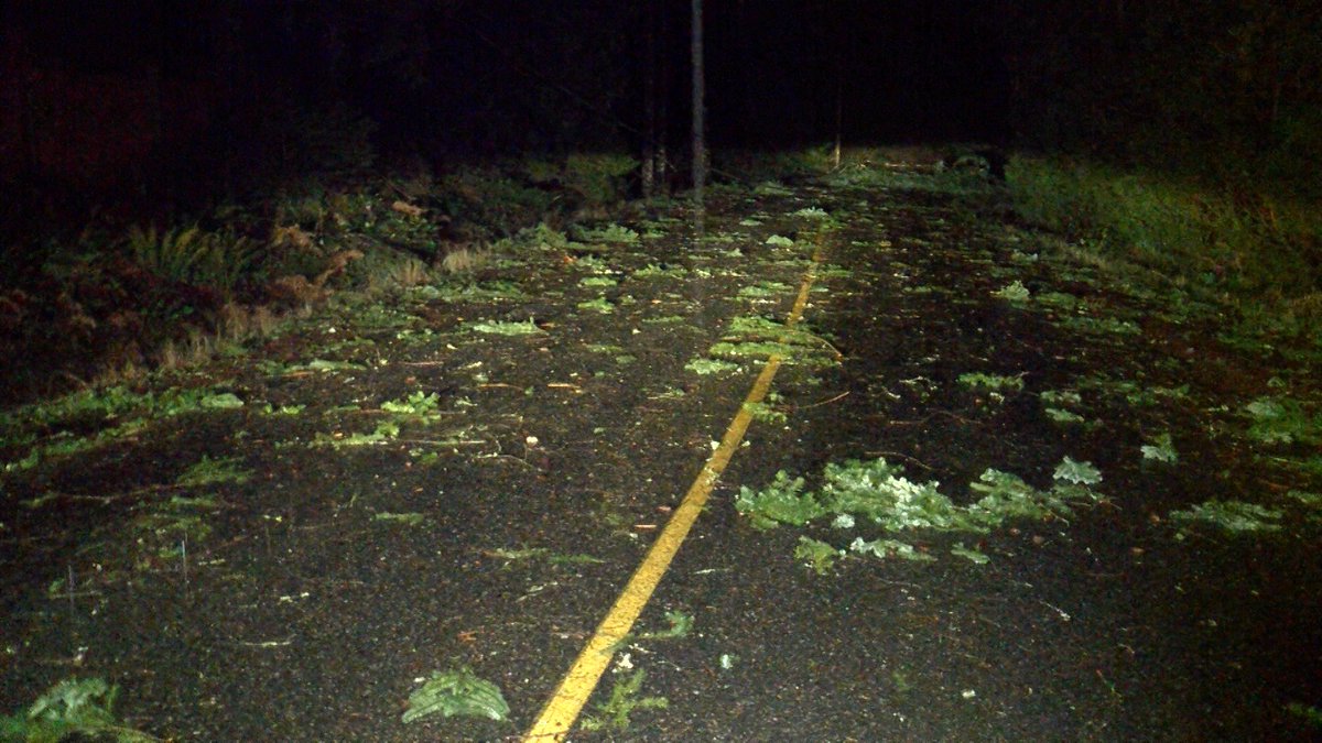 Kendall_Hanson's tweet image. Latest on storm damage @CHEK_News at 10 (if you've got power). BC Hydro says it could be days before all the power is restored with more than 1/3 of Vancouver Island without power tonight #Nanaimo