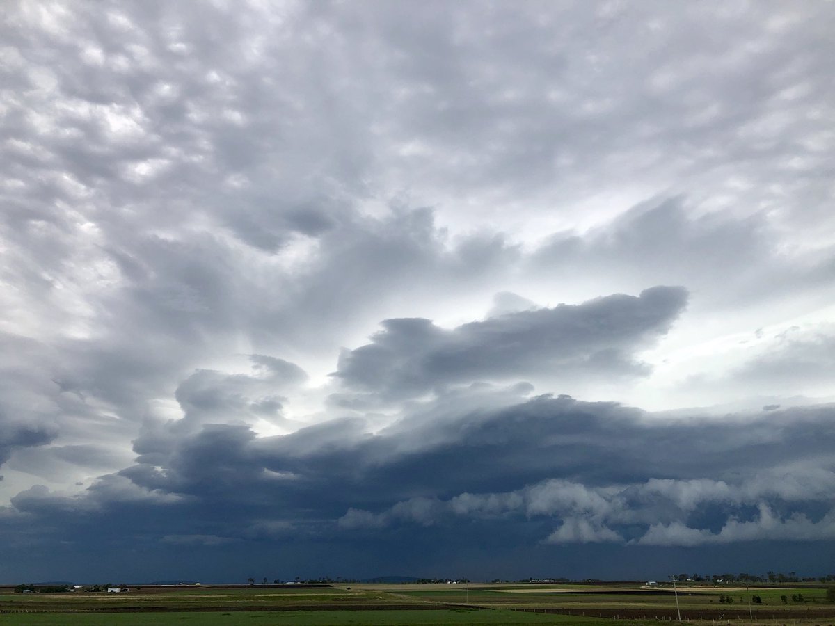 Arlie Felton-Taylor tweet media