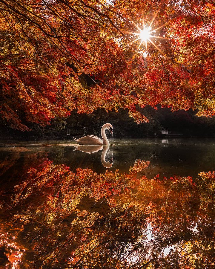 保存版 東京カメラ部10選18 セレクト写真をまとめてみた フォトオタク