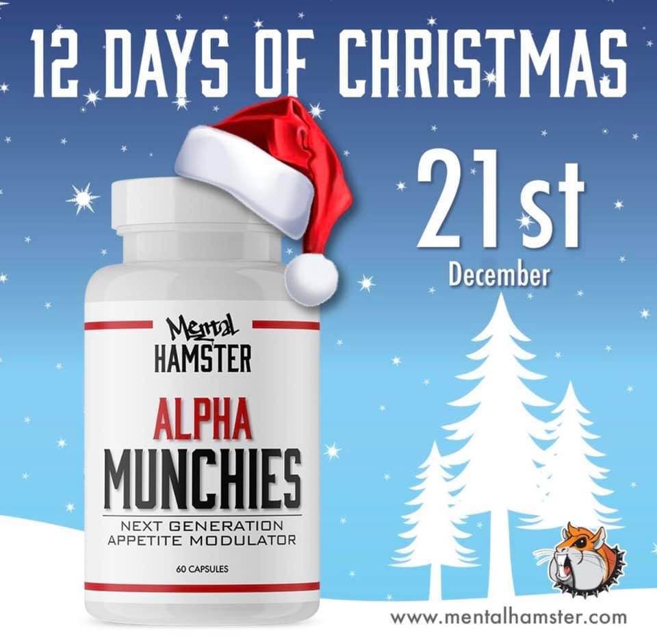 Mental Hamster tweet media