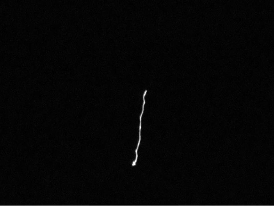 vivek_pandey25's tweet image. कैलाश मानसरोवर के ऊपर क्षितिज पर दिखा था यह दिव्य पुंज 
#KailashManasarovar