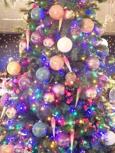 Doriroga's tweet photo. Escaparate de Navidad 2018. Ideas para regalar. #Navidad #regalos @sensilisoficial @ThermomixESP @BodegasLuisAlegre #Melange #Delfy @Cookidoo #cofreUpgradechronoLift @JuanMariArzak @ArkopharmaEsp #ArkodigestReflucid #pasatealonatural #ArdellBeauty
https://t.co/VsaYmeGMjq https://t.co/2vaoYUhK3z