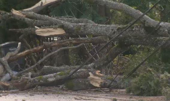 B.C. Hydro crews are scrambling to deal with power outages after Thursday’s wind storm hit BC’s south coast, downing trees and branches over power lines. #yyj iheartradio.ca/cfax-1070/news…