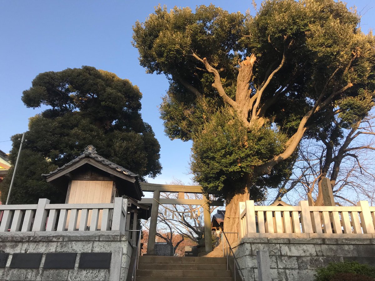蘇羽鷹神社 蘇羽鷹神社
