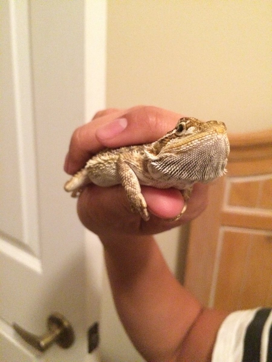 Retweet for good luck