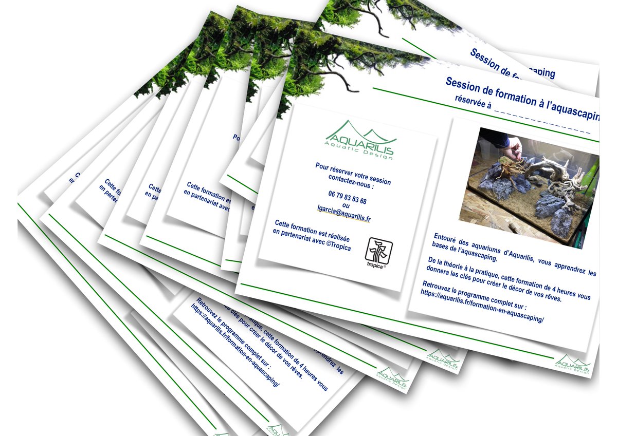 Aquarilis_'s tweet photo. Et vous, avez-vous réservé votre session ?
#formation #aquascaping #laurentgarcia #aquarilis #coupon #cadeau #decor #aquarium 
https://t.co/MWgQBmlF52 https://t.co/k3QV61CoqA