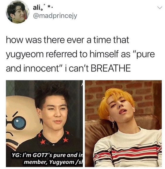 Random GOT7 memes and whatnots ((t h r e a d))