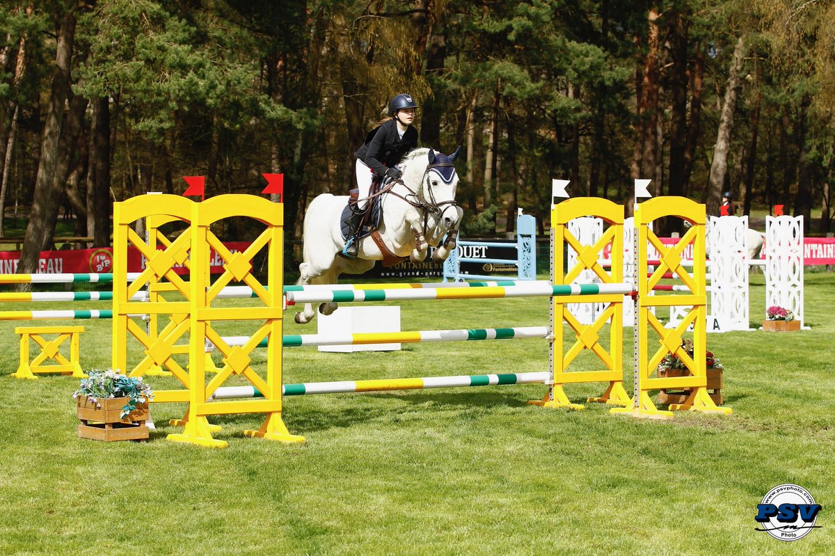 BIPcsiopFrance's tweet photo. 📣♨️ [HOT NEWS] 🔥 Le Petit Parquet reste en herbe pour la 19ème édition du @BIPcsiopFrance 🐴
#BIP2019 #ConcoursPoneys #Fontainebleau #GrandParquet #PetitParquet #Showjumping #Equestrian #CSO #Equitation #poney #pony #Competion #dansle77 
📸 @psvphoto https://t.co/16aZXjnXBC