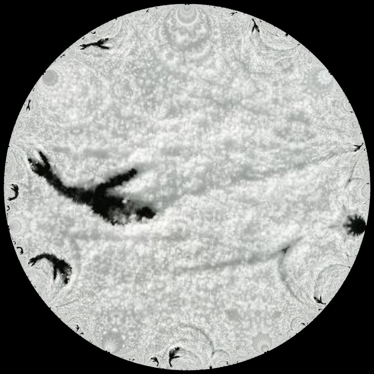 N E V E R M I N D tweet media