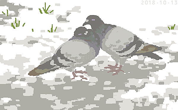 鳩ぽ 
