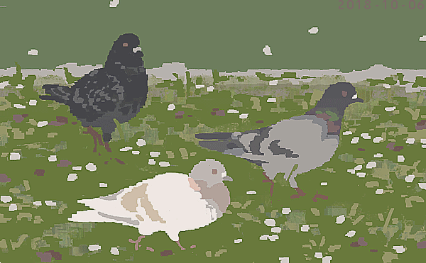 鳩ぽ 