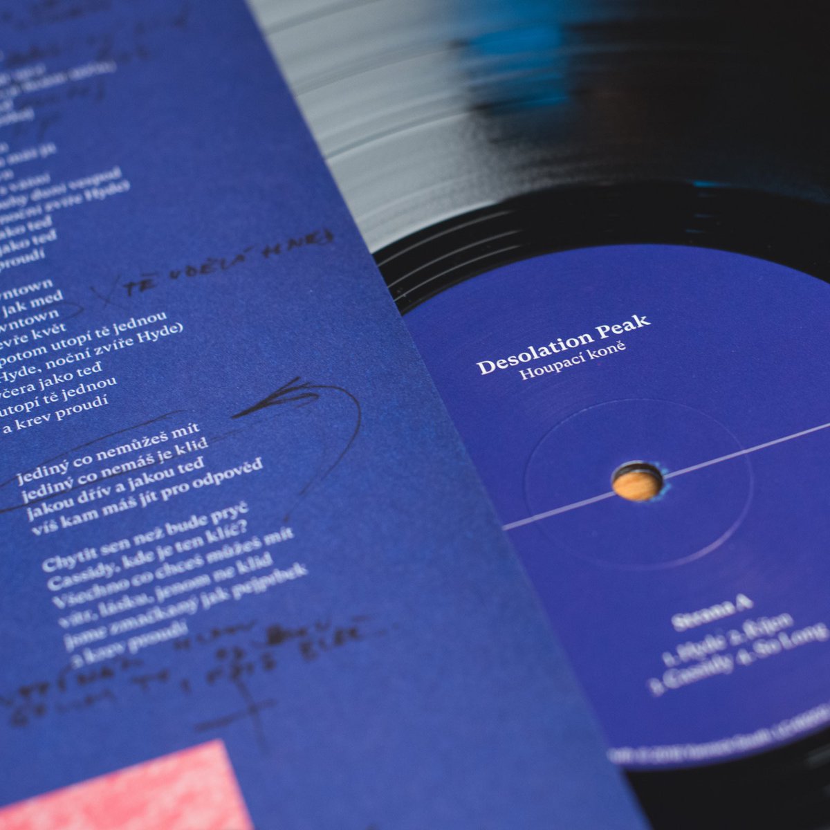 houpacikone's tweet photo. Cerny LP, 180 g, 8 skladeb. Insert, 4 strany, texty, poznamky o Jackovi i zivote, kratky zamysleni nad samotou. Na obalu vyhlidka, zadnej pozar na obzoru. Prozatim. Fotil @TomLumpe. #desolationpeak https://t.co/7cTw0MHqB6