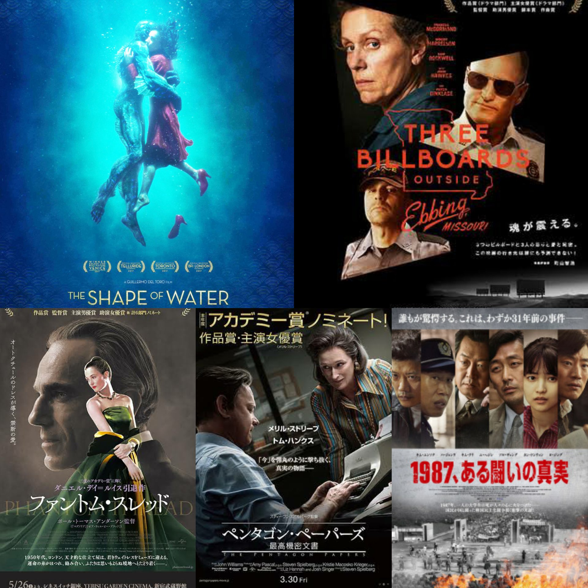 ハズキ on Twitter " Best Foreign Film Nominees The Shape of Water Three