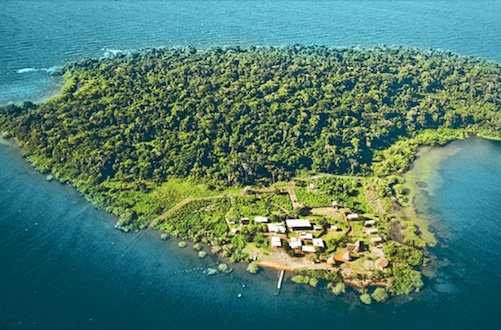SafarisUganda's tweet photo. The Island of the Apes
#NgambaIsland
📷:R J Walter
#WorldVisit🇺🇬#PearlOfAfrica #ChimpHabituation #EnjoyBeautifulSunsetCruises #VisitTheFishingVillages #EncourageWildLifeConservation https://t.co/VwDDZ6jJzm