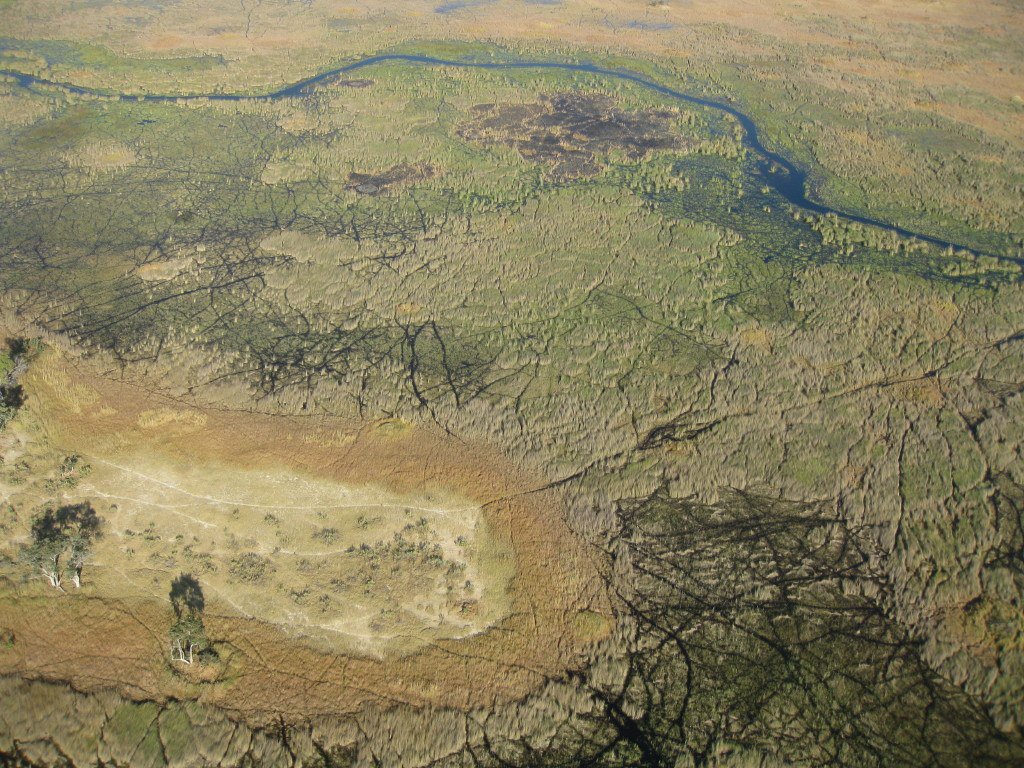lelobusafaris's tweet photo. Family flight over the Delta to oddballs, Thank you to client Paul for sharing your photos with us.

#deltaadventure #oddballs #botswana #delta #walkingsafari #advenure #lelobusafaris https://t.co/M2xD1VVQNa