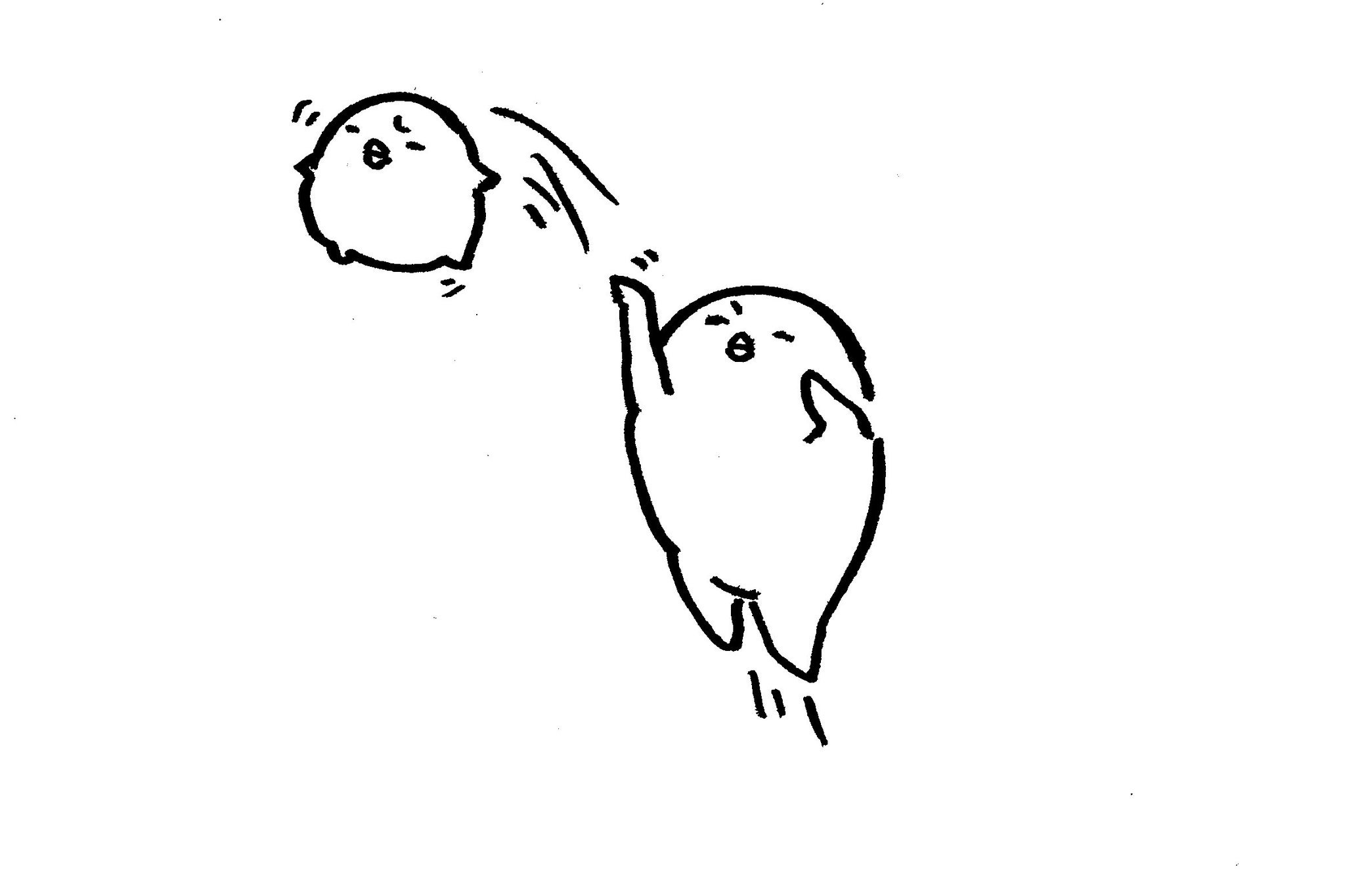 うぱ على تويتر バスケットとボールと鳥 イラスト バスケットボールの日 なにかのとり T Co Cmf5xhczag تويتر