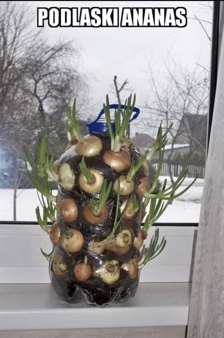 Du7idbLX0AAqOkF.jpg:large