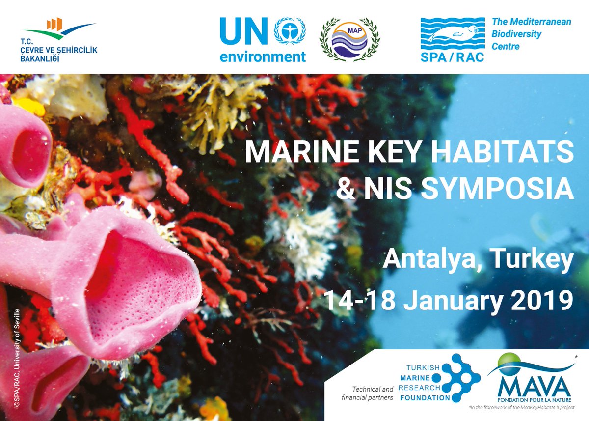 SPARACinfos's tweet photo. Coming up next month in Antalya, the #SPARACsymposia, it is about sharing knowledge on Mediterranean Marine Key Habitats &amp; Non-Indigenous Species. More info: https://t.co/ln2L0pzWSt - @TudavTudav @MavaFdn https://t.co/QtBRZOCvjK