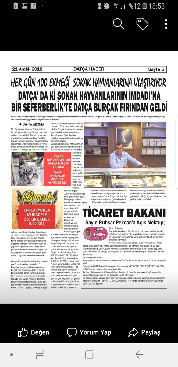 DatcaFirin's tweet image. 