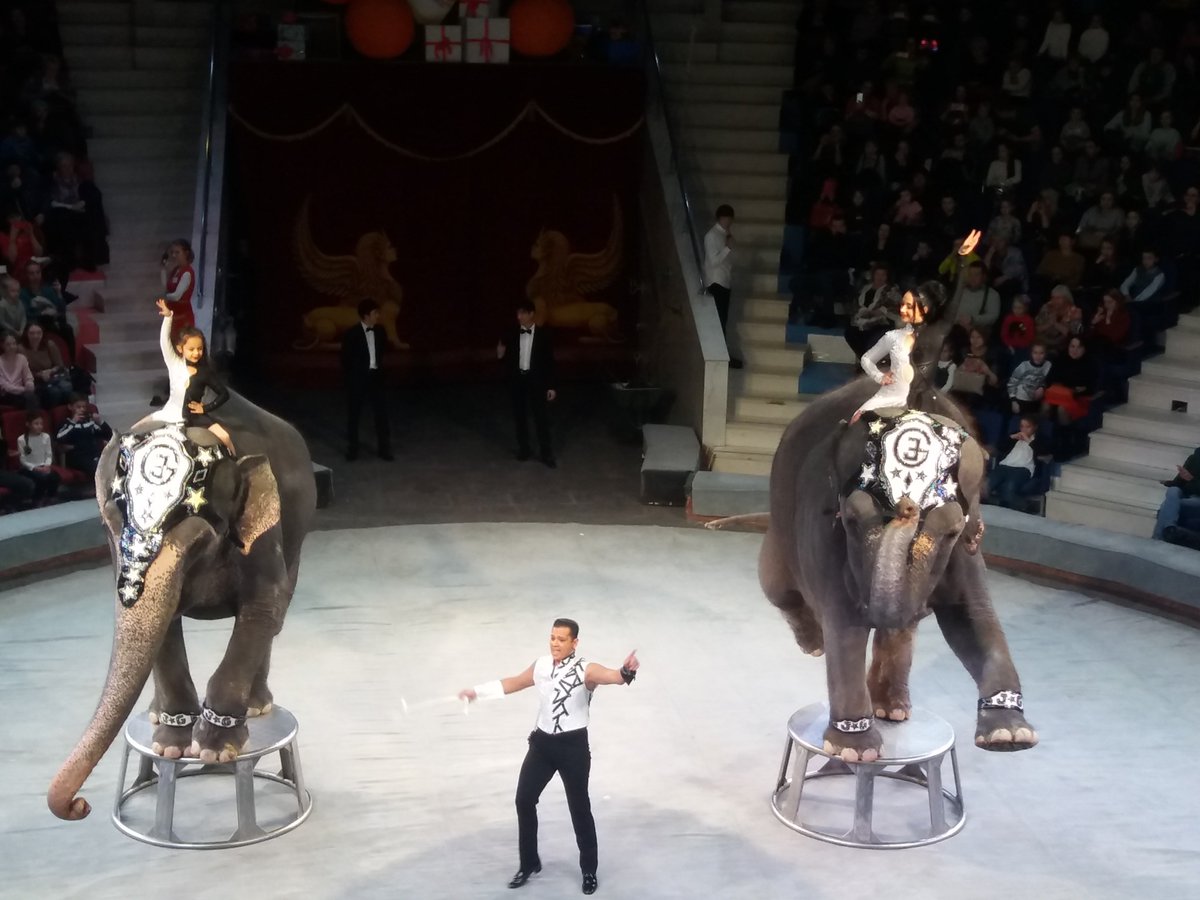 Цирк гор. Белорусский цирк в минске. Минск цирк. Сколько длится представление в цирке в минске. Белорусский цирк в минске программа.