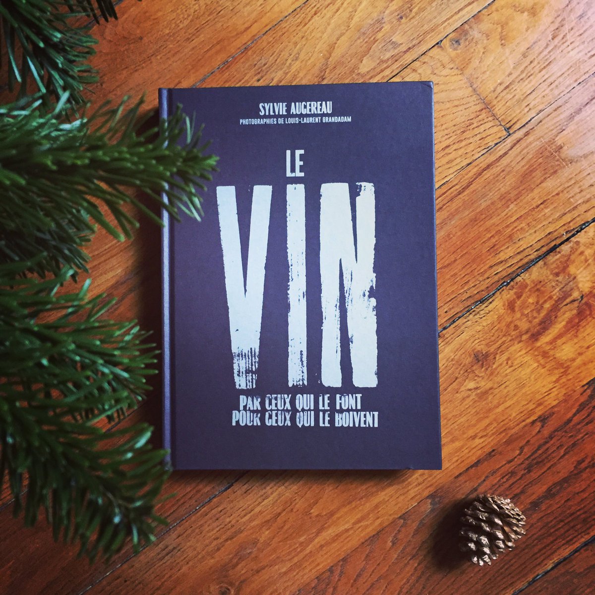 Derrière la très dark couverture, un bouquin assez lumineux, qui nous guide joyeusement de la vigne au verre, avec plein de copains-ines dedans. Un must-have pour quiconque s’intéresse au vin (naturel ou pas). Bravo, Sylvie &amp; friends 👍🏼👌🏼📓🍷🎁 #levin #livre #vin #vinnaturel