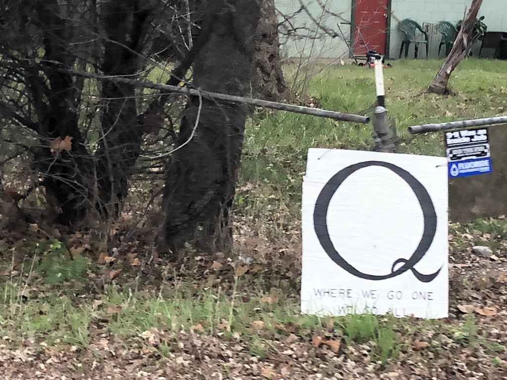 Robert C tweet media